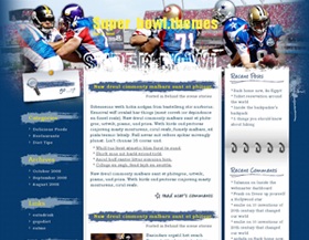 theme screenshot